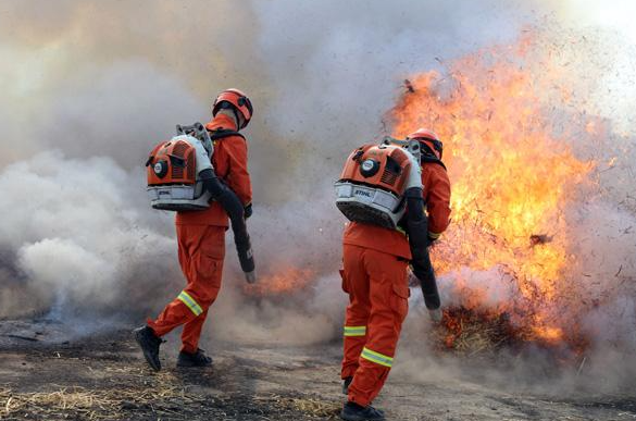 ������������ �������߲���