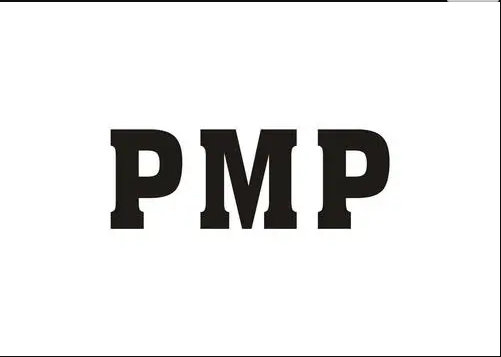 ����pmp��Ŀ�������ö�����н��