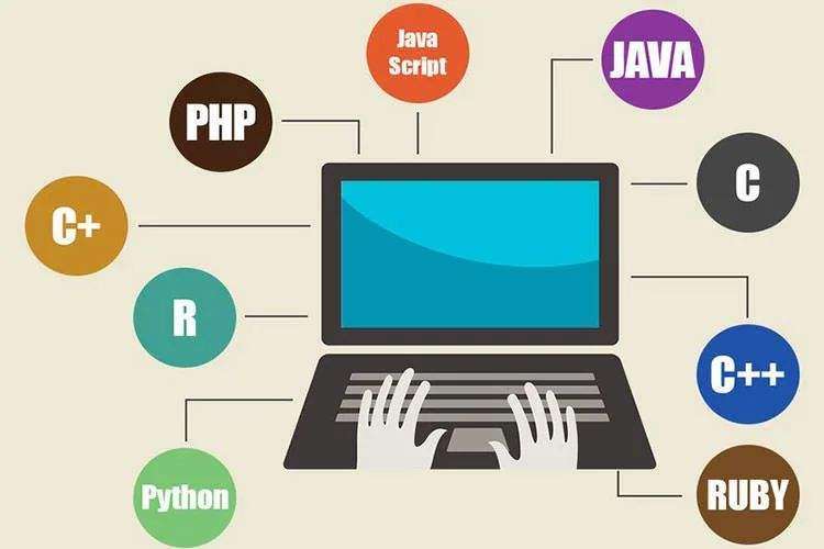 C������ѵ��������