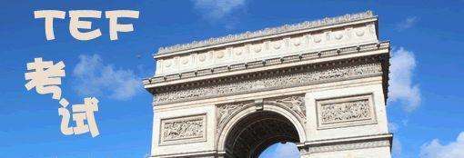 ��������TEF��������ЩС����