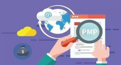 PMP���Թ��߼������������������