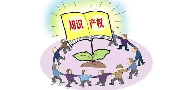 ����Ա�вⳣʶ�жϿ�����֪ʶ��Ȩ��֪ʶ������