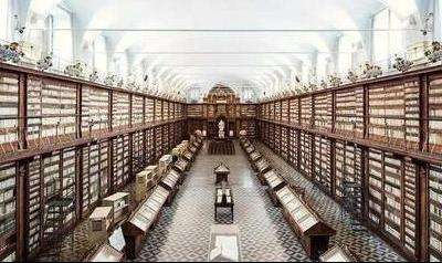 Ϊʲô��Ҷ�ϲ��ȥ�����������������