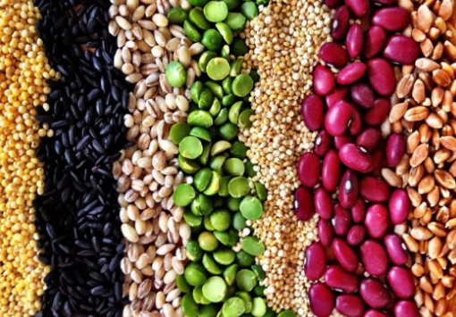 公共营养师考试中豆类制品营养的介绍