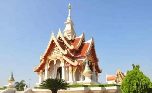 ̩����ѧ����ѡ��ע���������˽���