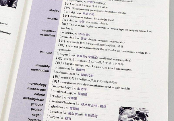 �и����Դʻ㱳������Щ���巽����