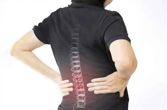 ����������ѵ��������