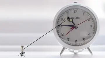 �����ҵ�ʸ���ԤԼʽ��ͳ��������