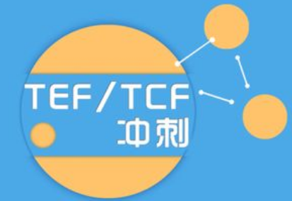 ����TCF/TEF���Ե��������