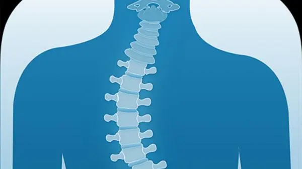 ����������ô��