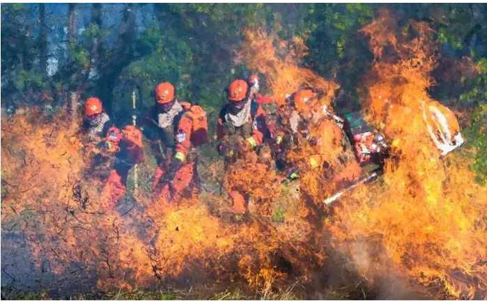 ����������ʩ����Ա֤����������ʲô