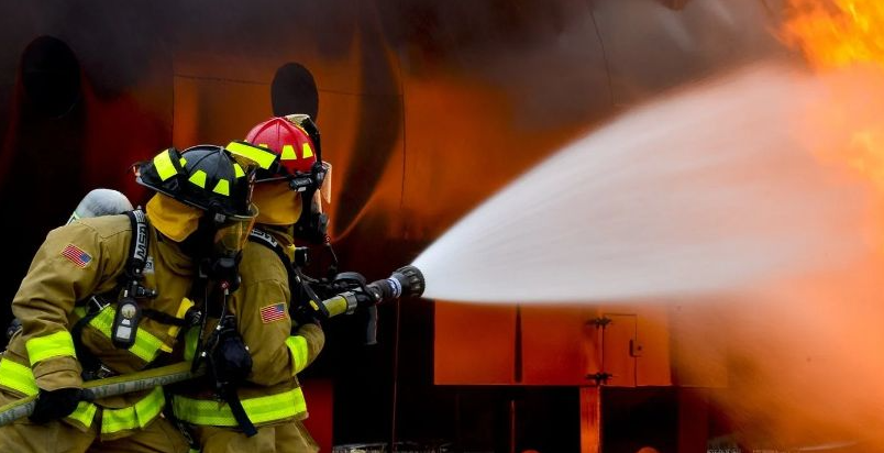 ��У��ѧ�����Ա�������Ա��