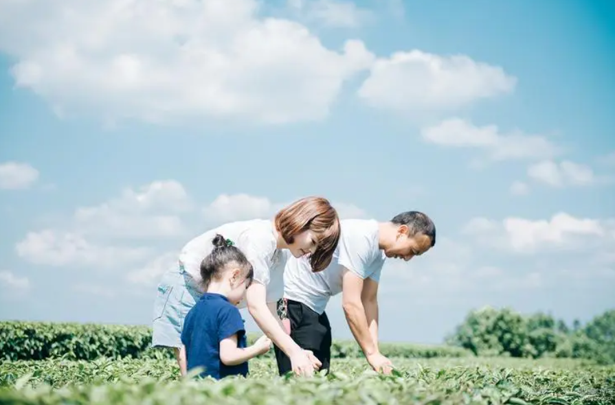 ������ͥ����ָ��ʦ����