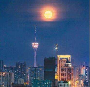 �����ҵ����ֻ�С����Ϲ��