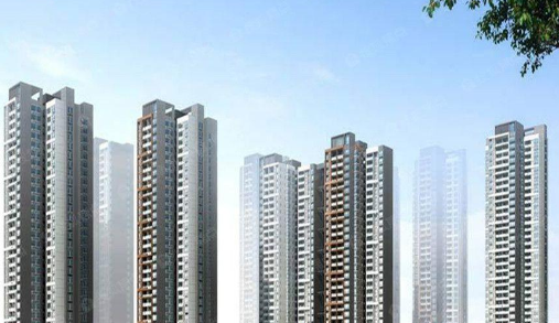 ���ز�����ʦ���Ե���������Щ��