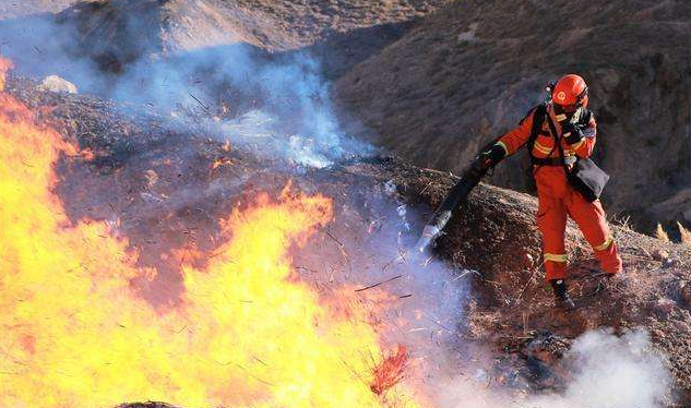 ����֤����Щ��Ŀ