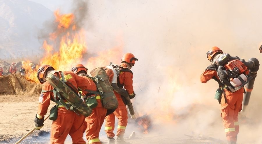 û��ѧ�����Ա�����������ʦ��