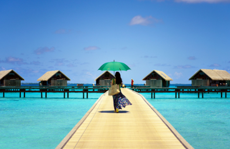 �����ʸ��������εĲ����ͷ�չ��֪