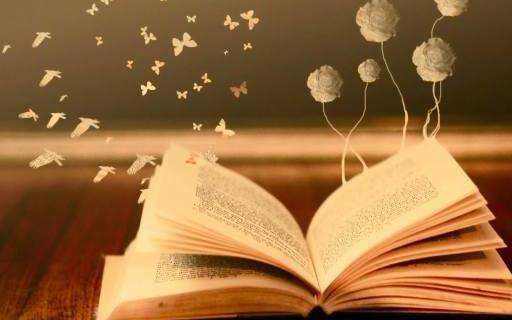 ��˼�Ķ�����ժҪ��������˽����