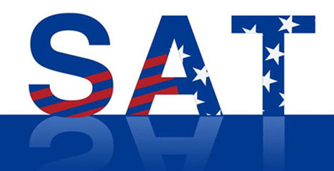 SAT���Դ𰸷���ķ������