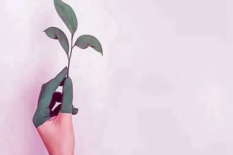 �������˸߿����������רҵ�ò��ÿ�