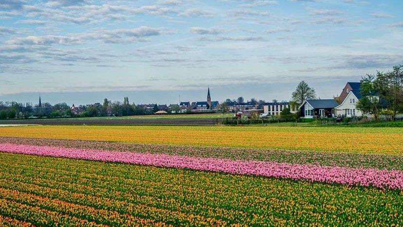 ����ȥ������ѧ����������뵽��У