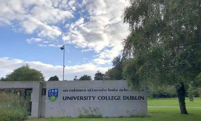 �����������ִ�ѧ��ѧ����������Щ