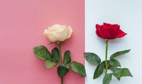 ��˼��������Լ�ԤԼʱ��μӿ�����