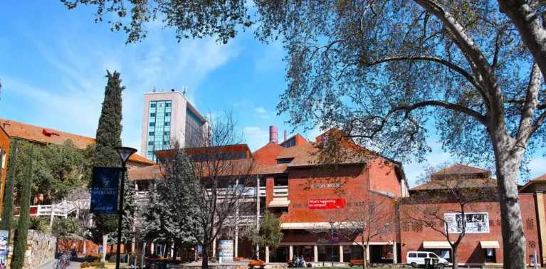 �����Ĵ�������ѧ�������´�ѧ�ſ�����