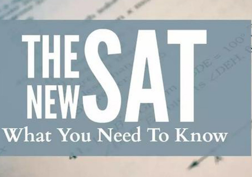 SAT���Ŀ�����Ŀ������������