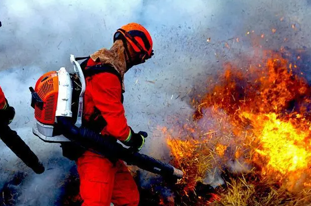 ������ȫ�����ĸ�����ָ����ʲô ��������������