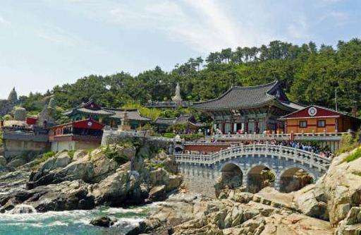 ������ѧ���ܻ�ӭ��������Щ���Ƽ�