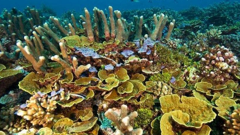 ר����������̬ѧ����֪ʶ�����