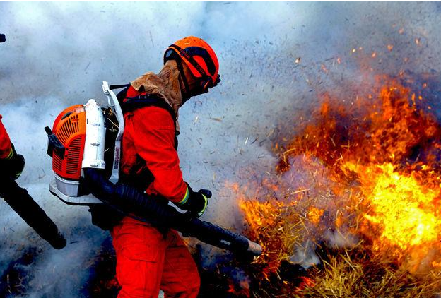 һ����������ʦ���Ա�������