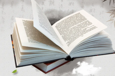 SAT�Ķ�������ֹ���