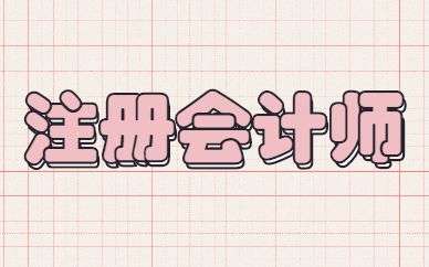 ��սע��Ӧ����ο�ѧ����2022��CPA����