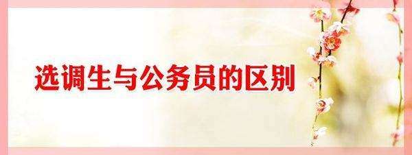 ѡ�����͹���Ա����������Щ���棿