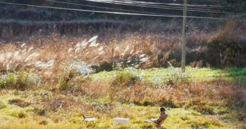 ����Ӱ������ʦ�������û���