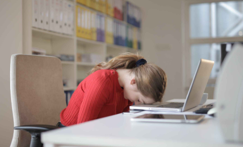 ������ѯʦ�����й���ԭ�����