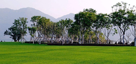 ԰�������ѵ�в�ƺֲ�����ѡ�����