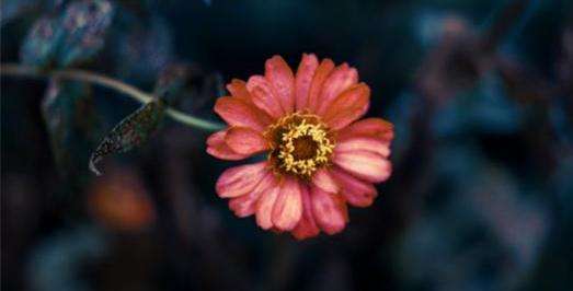 Ui�����ѵ֮��˾��־��Ʒ�������Щ��