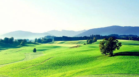 ����Ӱ������ʦ���Ե��ô�����չǰ������