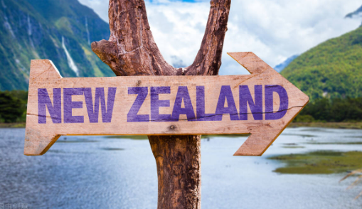 ��������ѧ��������ѧרҵ����