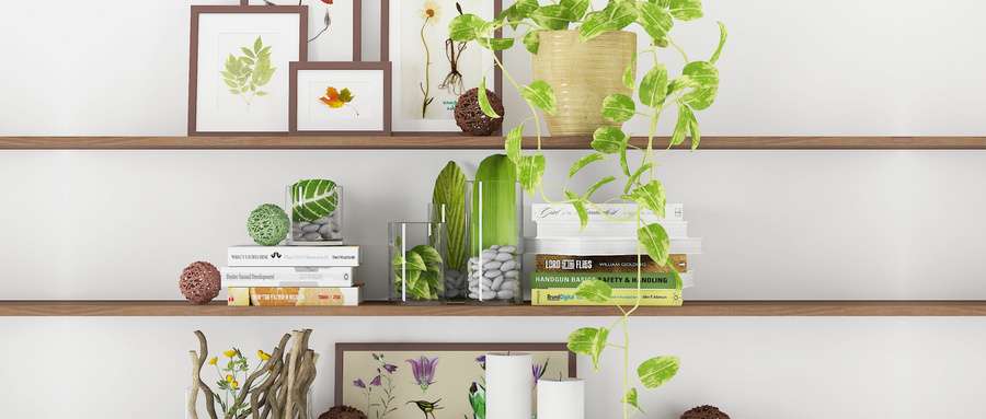 ���������ѵ�����Ӧ������Щ���֣�