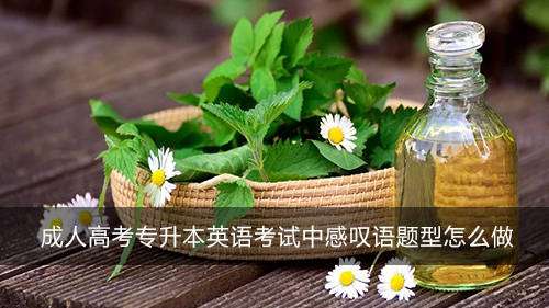 ���˸߿�ר���������е�Ӣ���̾������ƽ�