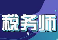 ˰��ʦ����˰���������ݼ���������