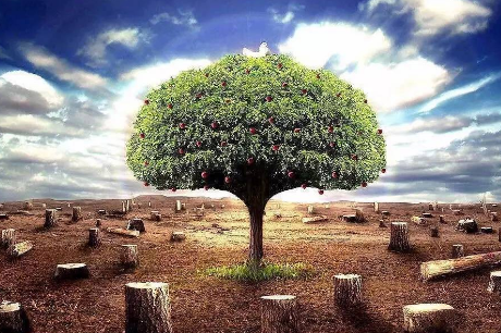 ����Ӱ������ʦ���Ը�Ƶ֪ʶ������