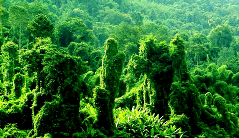 �����ʸ��Զ�ֲ�����ξ��۸���