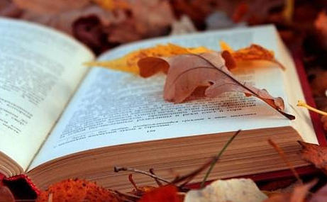 ��ѧ�����������������