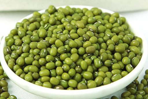 Ӫ��ʦ�����̶���Ӫ��֪ʶ����